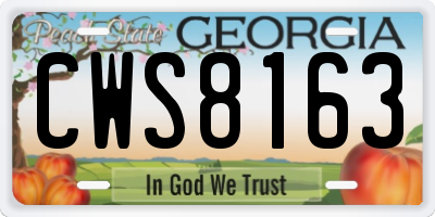 GA license plate CWS8163