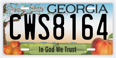 GA license plate CWS8164