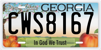 GA license plate CWS8167