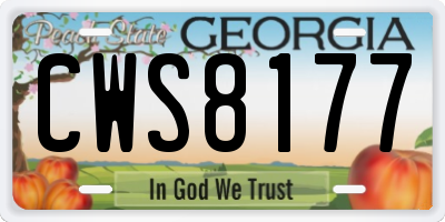 GA license plate CWS8177
