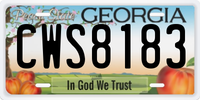 GA license plate CWS8183