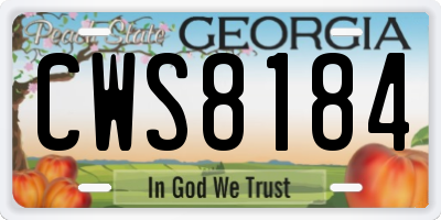 GA license plate CWS8184