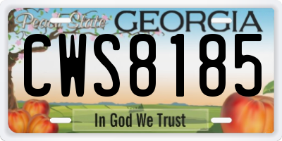 GA license plate CWS8185