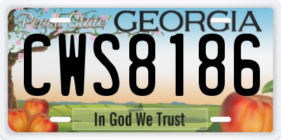 GA license plate CWS8186