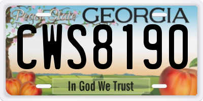 GA license plate CWS8190