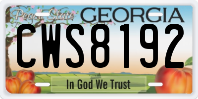 GA license plate CWS8192