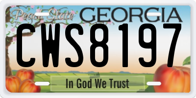 GA license plate CWS8197