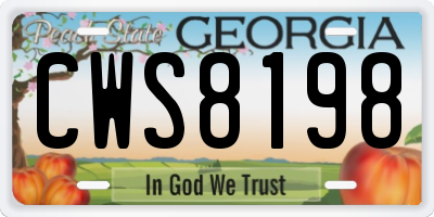GA license plate CWS8198