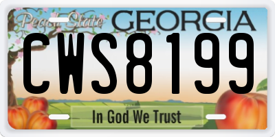 GA license plate CWS8199