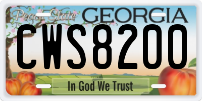 GA license plate CWS8200