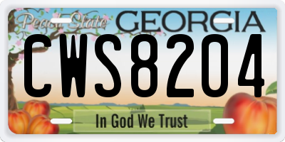 GA license plate CWS8204