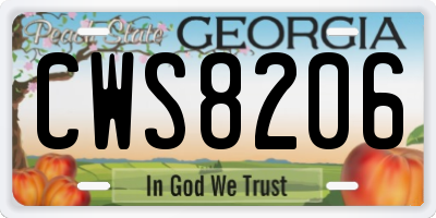 GA license plate CWS8206