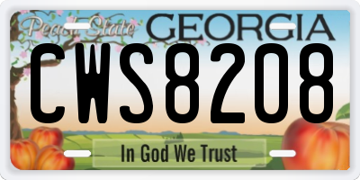 GA license plate CWS8208