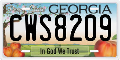 GA license plate CWS8209