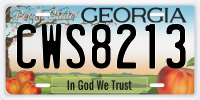 GA license plate CWS8213
