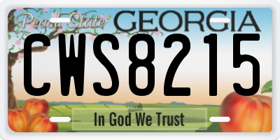 GA license plate CWS8215