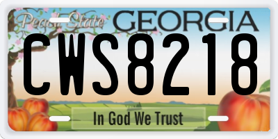 GA license plate CWS8218