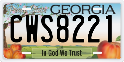 GA license plate CWS8221
