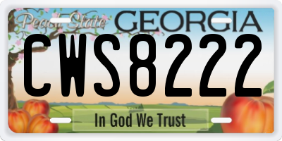 GA license plate CWS8222