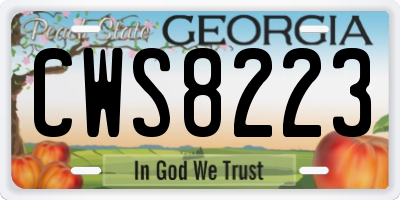 GA license plate CWS8223