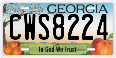 GA license plate CWS8224