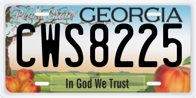 GA license plate CWS8225