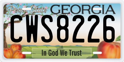 GA license plate CWS8226