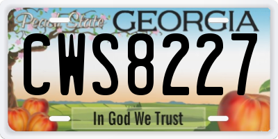 GA license plate CWS8227
