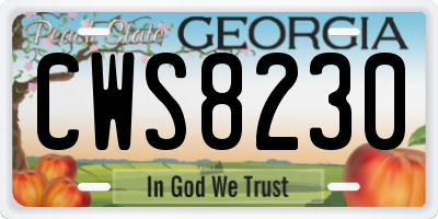 GA license plate CWS8230