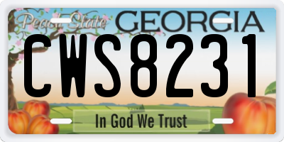 GA license plate CWS8231