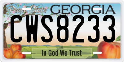 GA license plate CWS8233