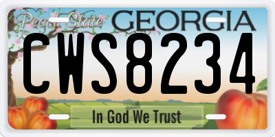GA license plate CWS8234