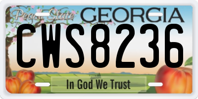 GA license plate CWS8236