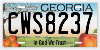 GA license plate CWS8237