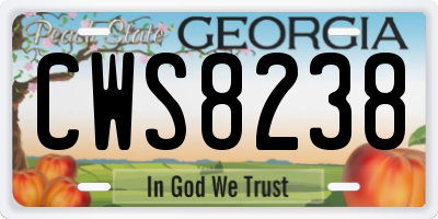 GA license plate CWS8238