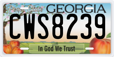 GA license plate CWS8239