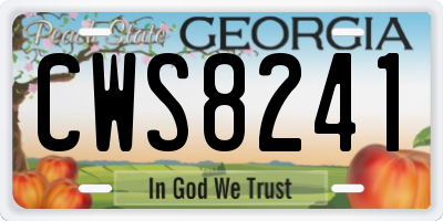 GA license plate CWS8241