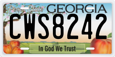 GA license plate CWS8242