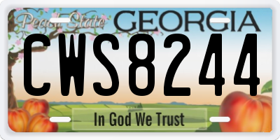 GA license plate CWS8244