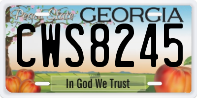 GA license plate CWS8245