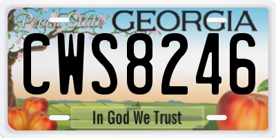 GA license plate CWS8246