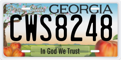 GA license plate CWS8248