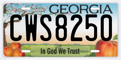 GA license plate CWS8250
