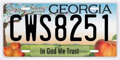 GA license plate CWS8251
