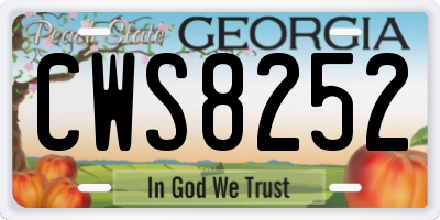 GA license plate CWS8252