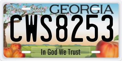 GA license plate CWS8253