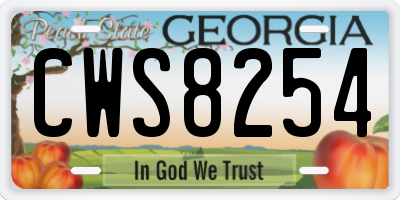 GA license plate CWS8254