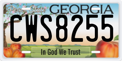 GA license plate CWS8255