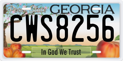 GA license plate CWS8256