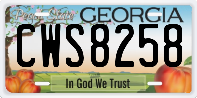 GA license plate CWS8258